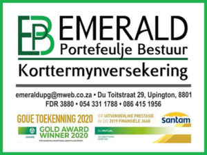 Emerald Korttermyn- en Lewensversekering